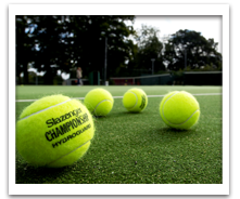 Sport Court Tiles