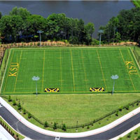 Artificial Sports Turf 