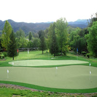Artificial Sports Turf 