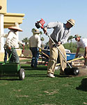 Artificial Sports Turf